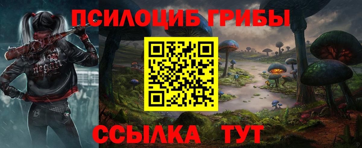 Славгород  Псилоцибиновые грибы MAGIC MUSHROOMS  Вход с VPN  Галлюциногенные грибы Cubensis 