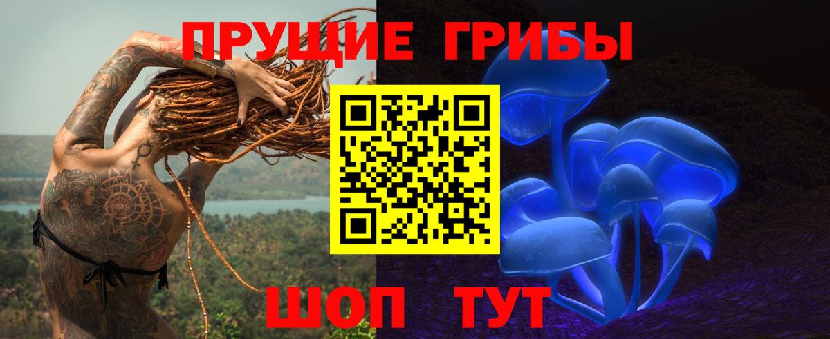 Галлюциногенные грибы GOLDEN TEACHER Славгород